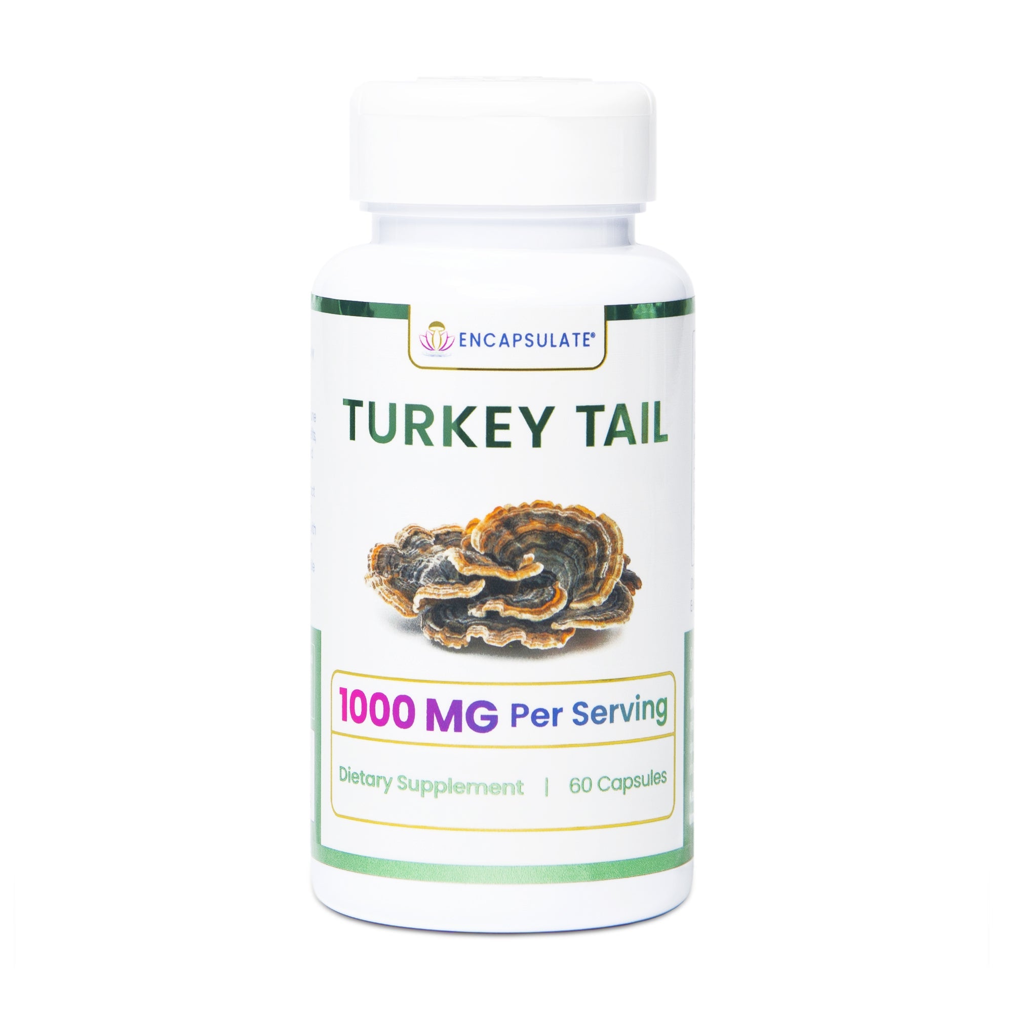 Encapsulate Turkey Tail Mushroom 1:1