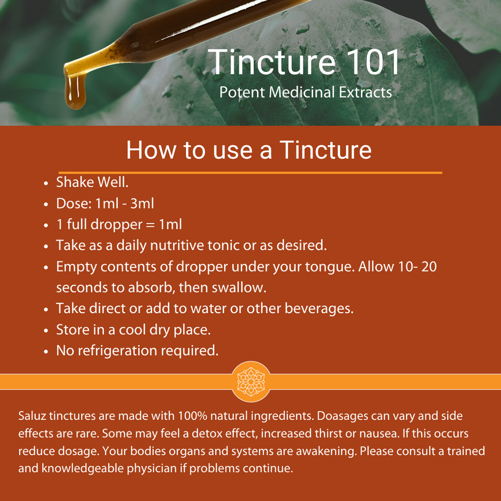 Cordyceps (Energy) Mushroom Tincture 2 oz.